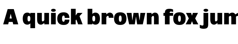 Preview of FONTSPRING DEMO - Oddlini Extra Black Condensed Regular font