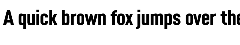Preview of FONTSPRING DEMO - Opinion Pro Cn ExBd Regular font