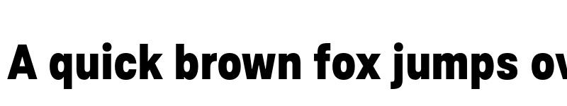 Preview of FONTSPRING DEMO - Ordina Condensed Heavy Regular font