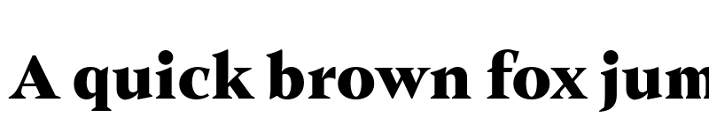 Preview of FONTSPRING DEMO - Ozana Pro Text Black Regular font