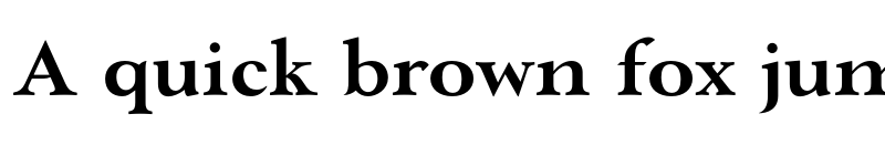 Preview of FONTSPRING DEMO - Paciencia Black Regular font