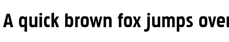 Preview of FONTSPRING DEMO - Pakenham Rg Bold font