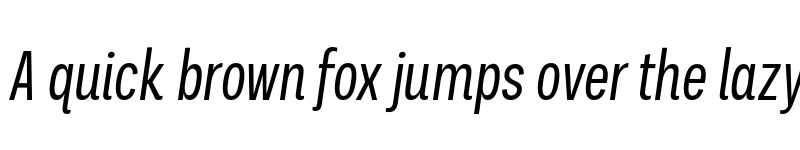 Preview of FONTSPRING DEMO - Palo Compressed Italic font
