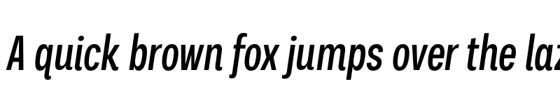 Preview of FONTSPRING DEMO - Palo Compressed Medium Italic Regular font