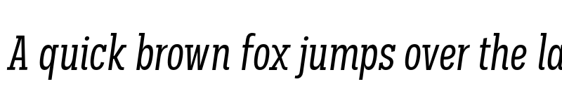 Preview of FONTSPRING DEMO - Palo Slab Comp Italic font