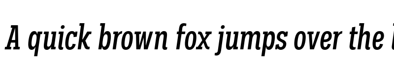 Preview of FONTSPRING DEMO - Palo Slab Comp Medium Italic font