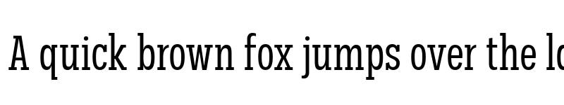 Preview of FONTSPRING DEMO - Palo Slab Comp Regular font