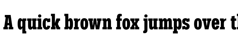 Preview of FONTSPRING DEMO - Palo Slab Compressed Bold font