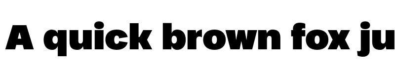 Preview of FONTSPRING DEMO - Palo Wide Black Regular font