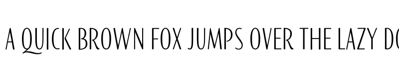 Preview of FONTSPRING DEMO - PalominoSansC One Regular font