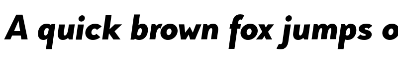 Preview of FONTSPRING DEMO - Pani Sans Black Italic font