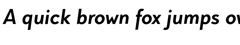 Preview of FONTSPRING DEMO - Pani Sans Bold Italic font