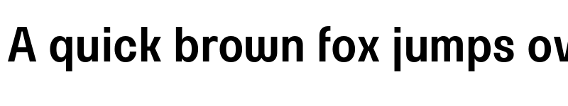 Preview of FONTSPRING DEMO - Parangon 420C Regular font