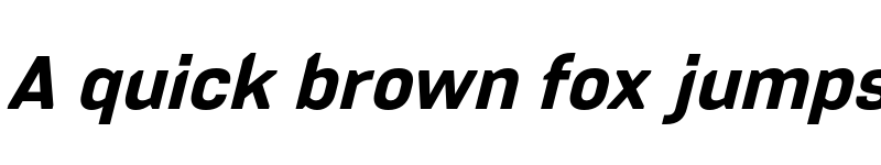 Preview of FONTSPRING DEMO - PCTL4800 Rg Bold Italic font