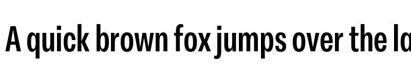 Preview of FONTSPRING DEMO - Peridot Latin Condensed Bold font