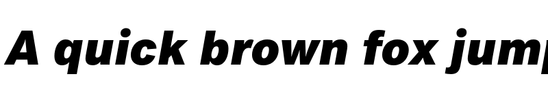 Preview of FONTSPRING DEMO - Peter Heavy Italic font