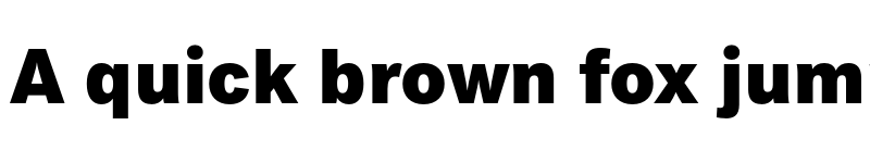 Preview of FONTSPRING DEMO - Peter Heavy Regular font