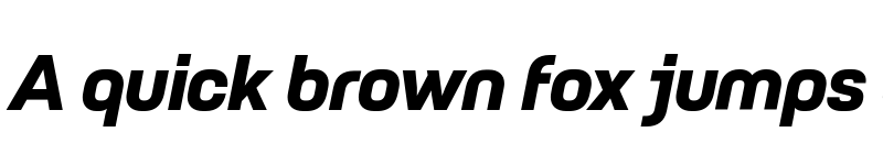 Preview of FONTSPRING DEMO - Petrov Sans ExtraBold Italic font