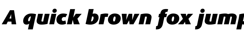 Preview of FONTSPRING DEMO - Phoenica PRO Black Bold Italic font