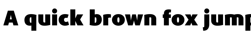 Preview of FONTSPRING DEMO - Phoenica PRO Black Bold font