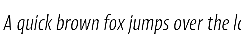 Preview of FONTSPRING DEMO - Picador Sans Light Italic font