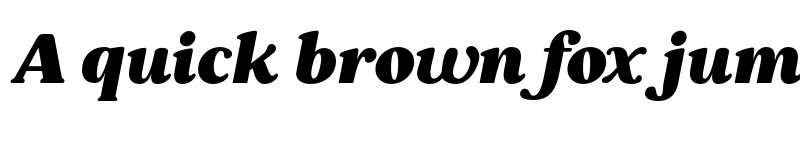 Preview of FONTSPRING DEMO - Pockota Black Italic font