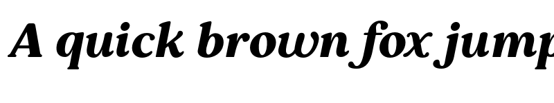 Preview of FONTSPRING DEMO - Pockota Bold Italic font