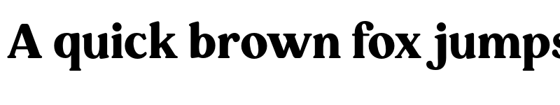 Preview of FONTSPRING DEMO - Pockota Bold font