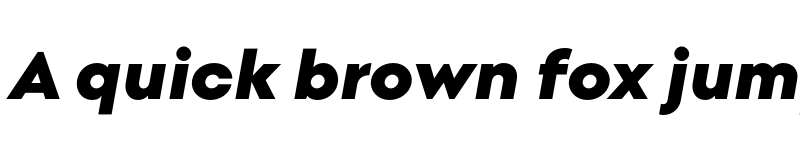 Preview of FONTSPRING DEMO - Point Black Italic font