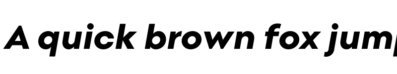 Preview of FONTSPRING DEMO - Point Extra Bold Italic font