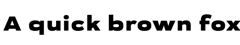 Preview of FONTSPRING DEMO - Praktika Black Extended Regular font