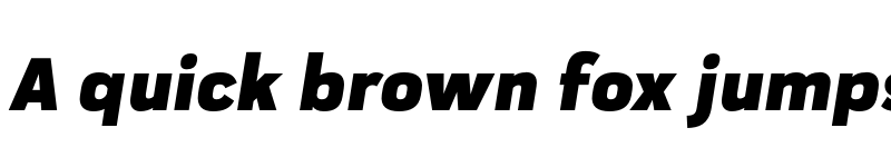 Preview of FONTSPRING DEMO - Praktika Black Italic Regular font