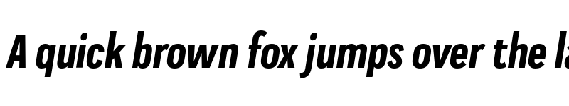 Preview of FONTSPRING DEMO - Praktika Bold Cond Italic Regular font