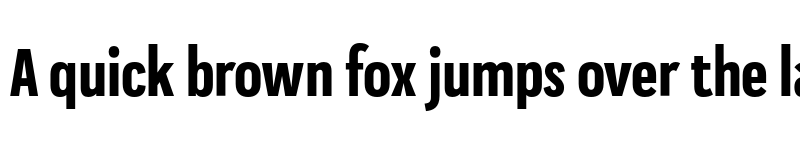 Preview of FONTSPRING DEMO - Praktika Bold Condensed Regular font
