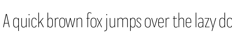 Preview of FONTSPRING DEMO - Praktika Light Condensed Regular font