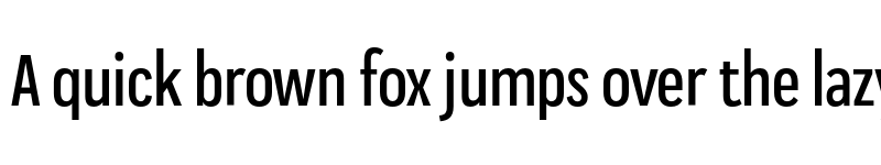 Preview of FONTSPRING DEMO - Praktika Medium Condensed Regular font