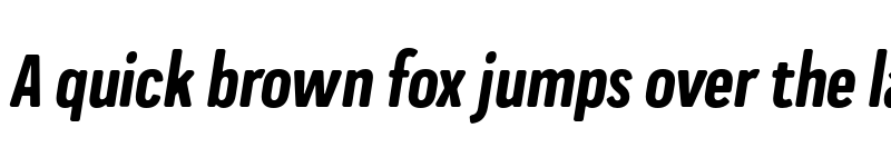 Preview of FONTSPRING DEMO - Praktika Rnd Bold Cnd Ita Regular font