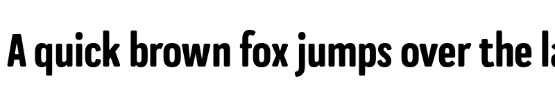 Preview of FONTSPRING DEMO - Praktika Rnd Bold Cnd Regular font