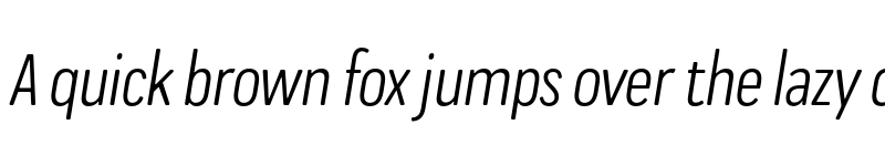 Preview of FONTSPRING DEMO - Praktika Rnd Cnd Ita Regular font