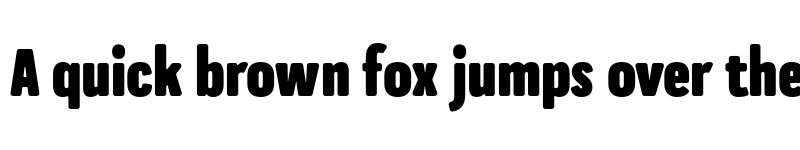 Preview of FONTSPRING DEMO - Praktika Rnd ExtraBold Cnd Regular font