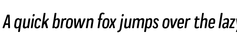 Preview of FONTSPRING DEMO - Praktika Rnd Medium Cnd Ita Regular font