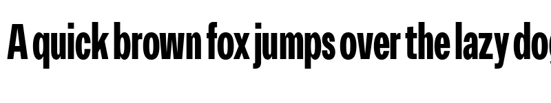 Preview of FONTSPRING DEMO - Premis Extrabold Condensed Regular font