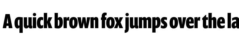 Preview of FONTSPRING DEMO - Prenton RP Ultra Cond Bold font