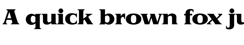 Preview of FONTSPRING DEMO - Priamos Serial Heavy Regular font