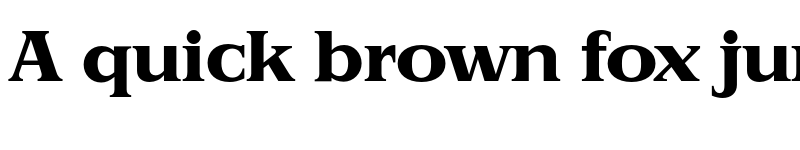 Preview of FONTSPRING DEMO - Priamos Serial Xbold Regular font