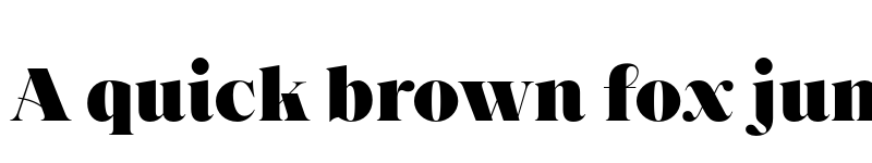 Preview of FONTSPRING DEMO - Princesa Alt Heavy Regular font