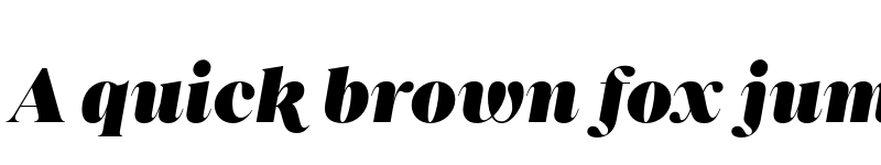 Preview of FONTSPRING DEMO - Princesa Heavy Italic Regular font