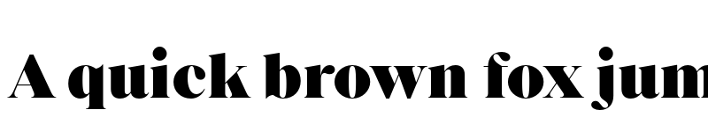 Preview of FONTSPRING DEMO - Princesa Heavy Regular font