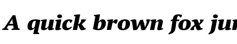 Preview of FONTSPRING DEMO - PT Serif Pro Ext Black Italic font