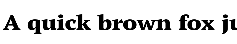 Preview of FONTSPRING DEMO - PT Serif Pro Ext Black Regular font